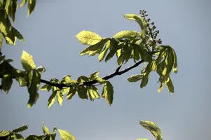 dsd_008680.jpg