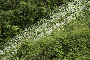 dsd_009674.jpg