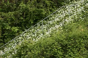 dsd_009675.jpg