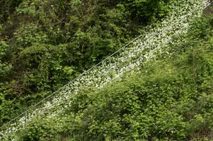 dsd_009678.jpg