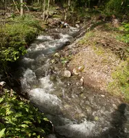 dsd_009902-dsd_009907.jpg