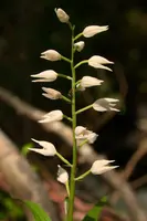 dsd_009933.jpg