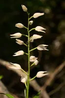dsd_009939.jpg