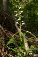 dsd_009945.jpg