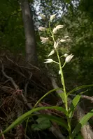 dsd_009954.jpg