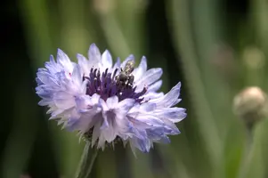 dsd_011339.jpg