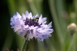 dsd_011340.jpg