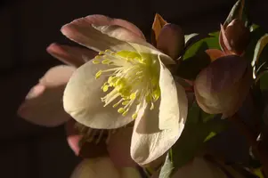 dsd_0629117.jpg