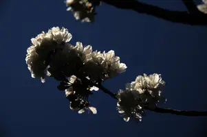 dse_000618.jpg