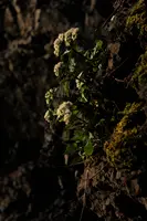 dse_001110.jpg