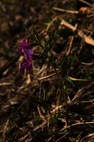 dse_001117.jpg