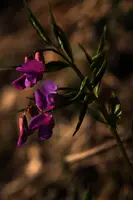 dse_001119.jpg