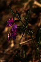 dse_001120.jpg