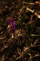 dse_001121.jpg
