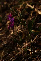 dse_001122.jpg