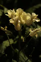 dse_001548.jpg