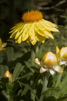 dse_001847.jpg