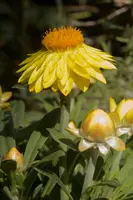 dse_001848.jpg