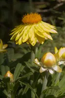 dse_001849.jpg