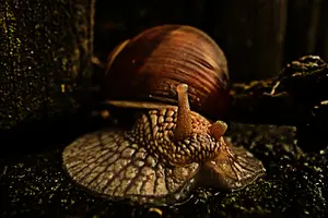 dse_011221_6066523_2021_06_06_16_12_25_15_02_00dragan.jpg