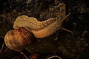 dse_011238_6066523_2021_06_06_16_14_37_34_02_00dragan.jpg