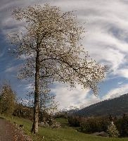 dse_014484-dse_014493_6066523_2022_04_17_18_26_00_07_02_00.jpg