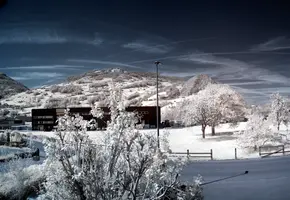 ir_29453-ir_29456.jpg