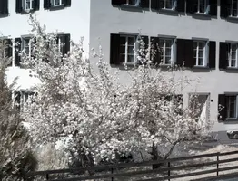ir_29457-ir_29459.jpg
