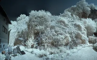 ir_29514-ir_29523.jpg