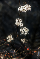 mantiuk_164439.jpg