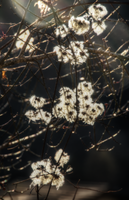 mantiuk_164454_waves.jpg