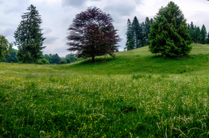mantiuk_3939-mantiuk_3945.jpg