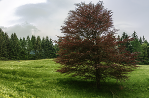 mantiuk_3951-mantiuk_3960.jpg