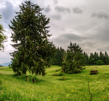 mantiuk_3966-mantiuk_3972.jpg