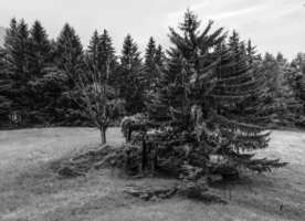 mantiuk_3984-mantiuk_3990bw.jpg