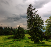 mantiuk_3993-mantiuk_3999.jpg