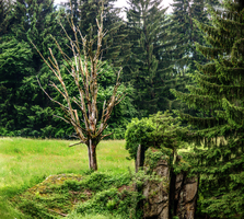 mantiuk_4002-mantiuk_4005.jpg