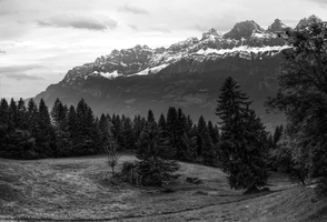 mantiuk_4041-mantiuk_4047bw.jpg