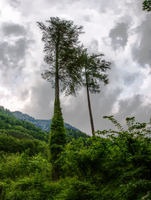 mantiuk_4050-mantiuk_4065.jpg