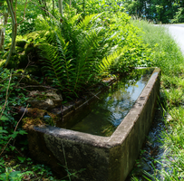 mantiuk_6837-mantiuk_6840.jpg
