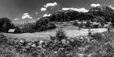 mantiuk_8534-mantiuk_8567bw.jpg