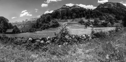 mantiuk_8570-mantiuk_8597bw.jpg