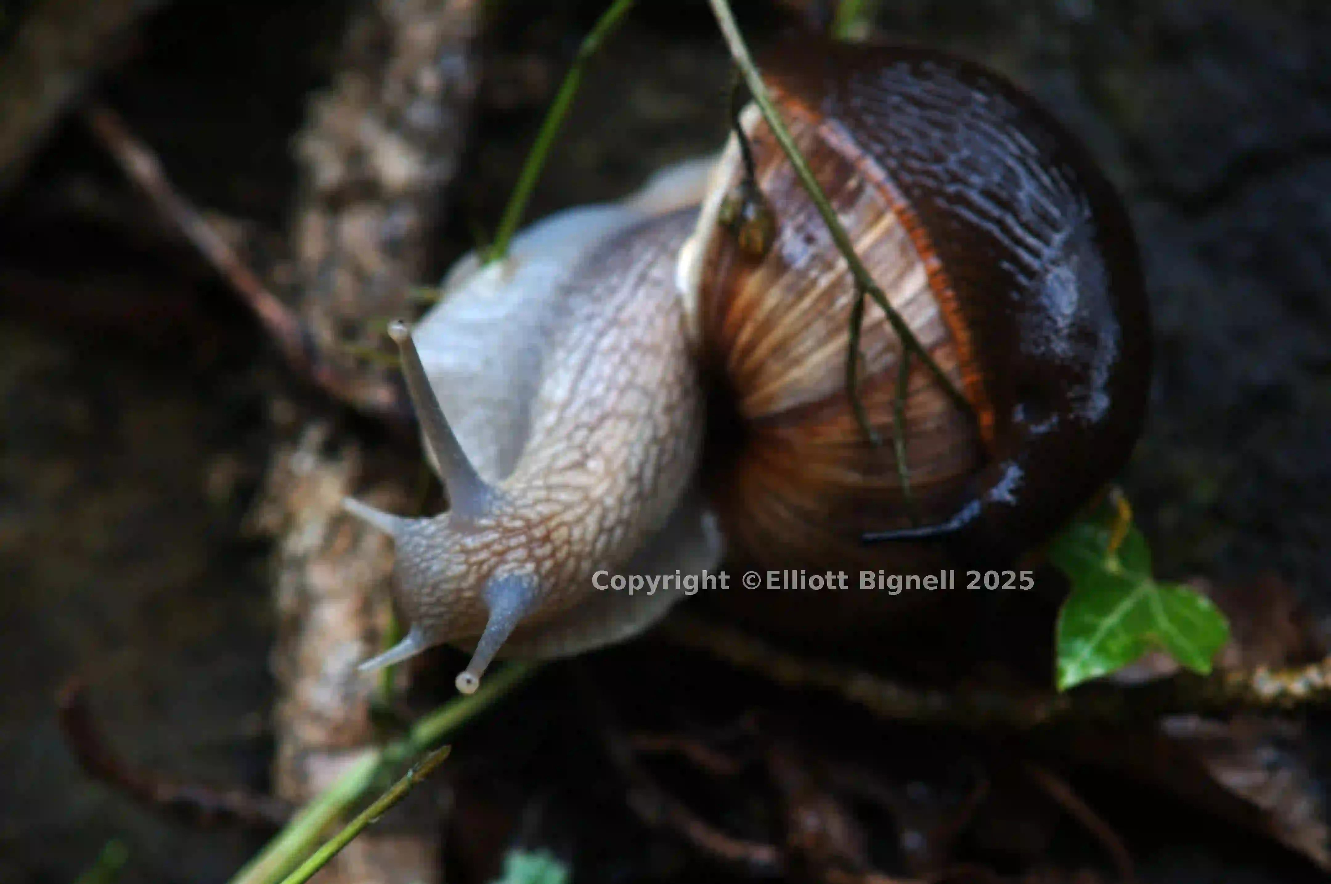 dsc_2846.jpg