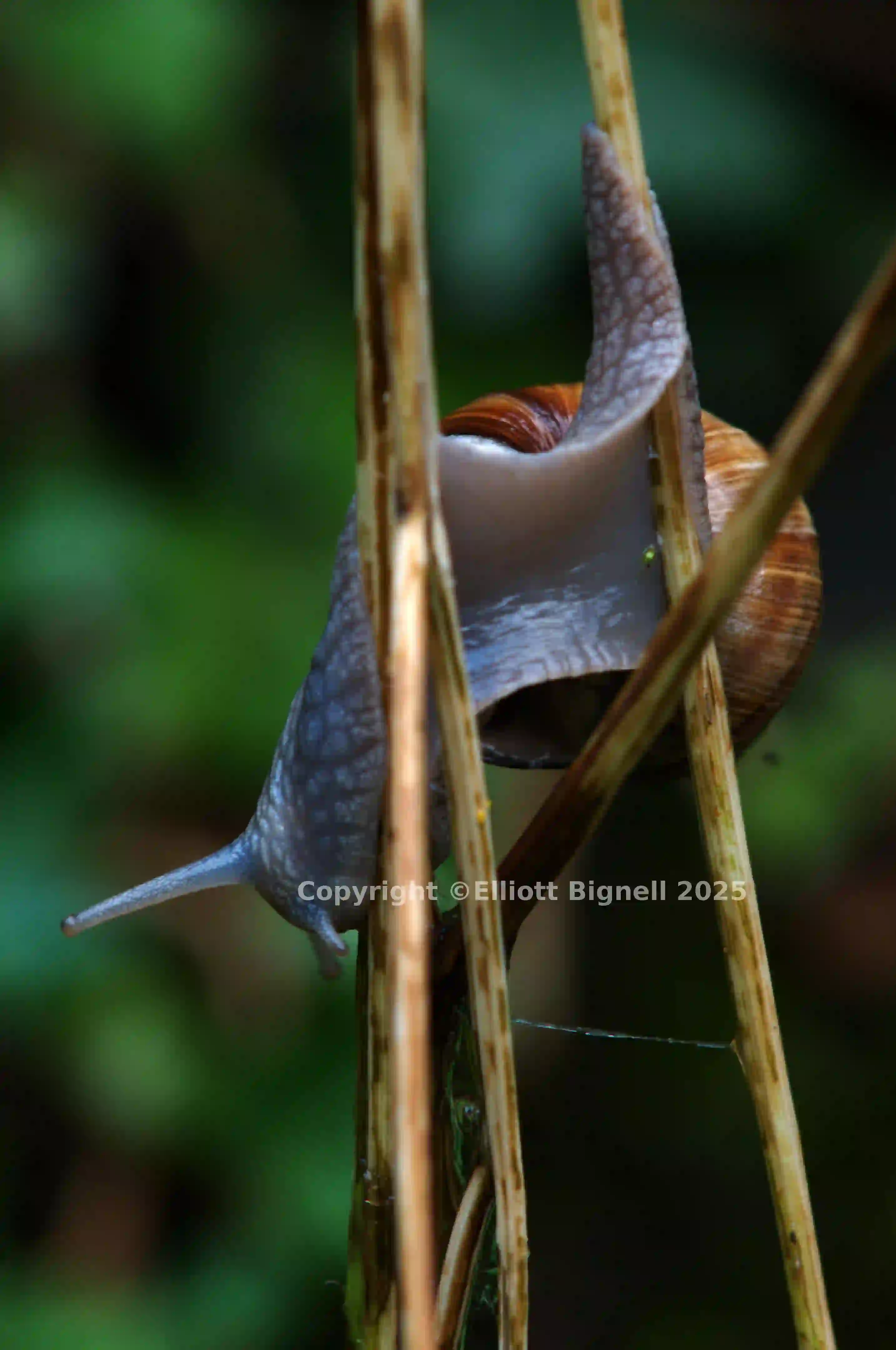 dsc_2874.jpg