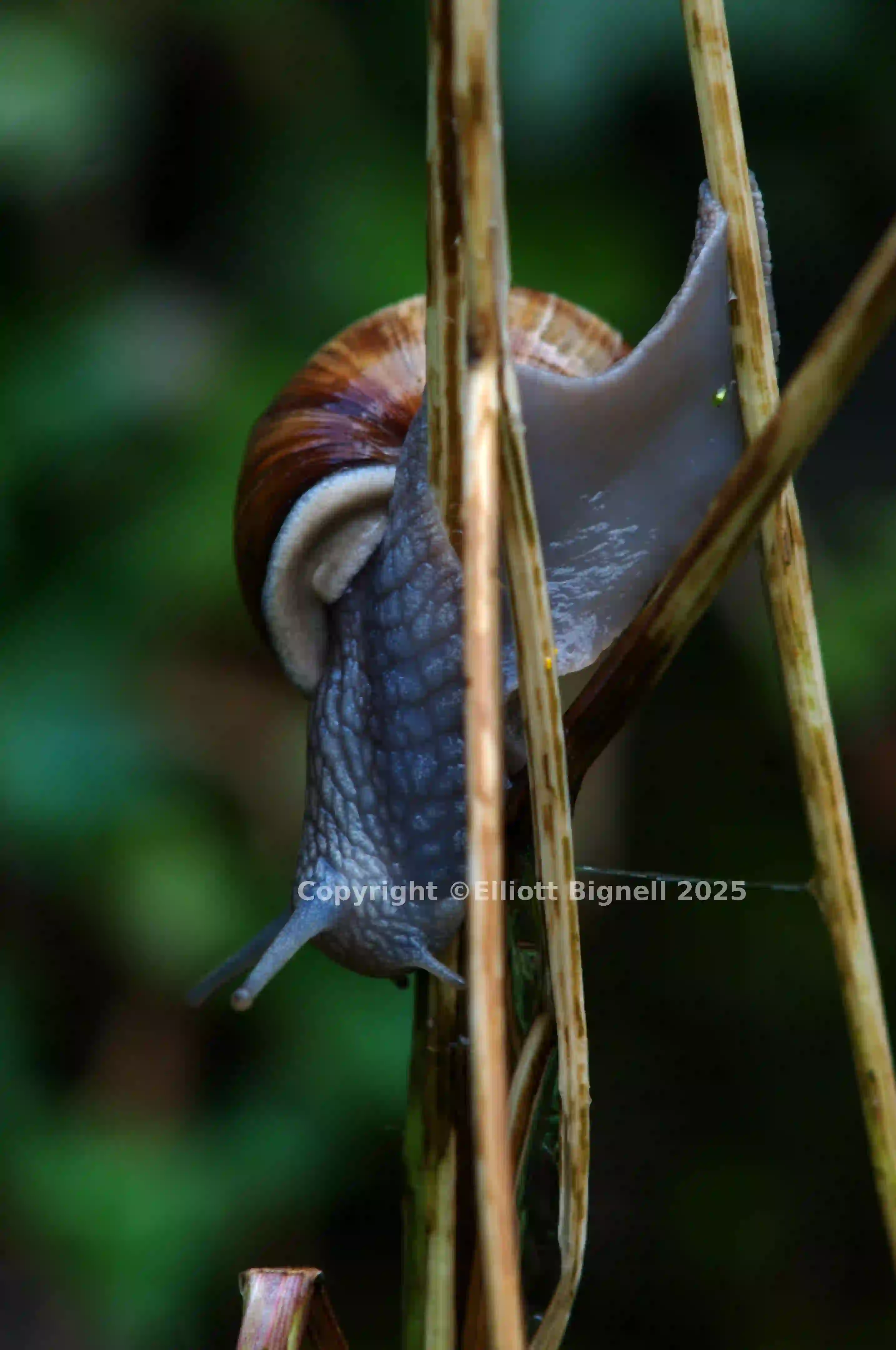 dsc_2881.jpg