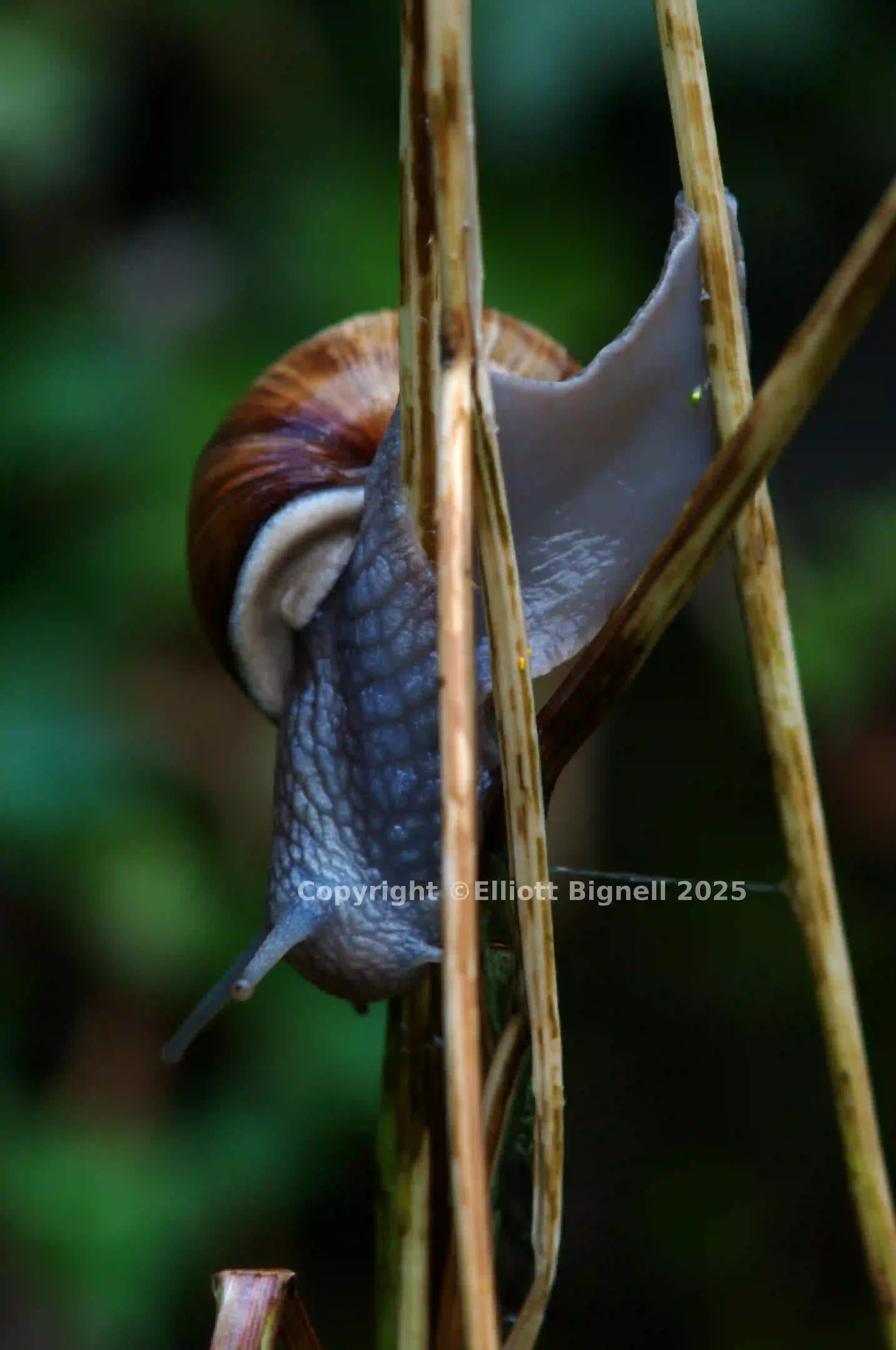 dsc_2884.jpg