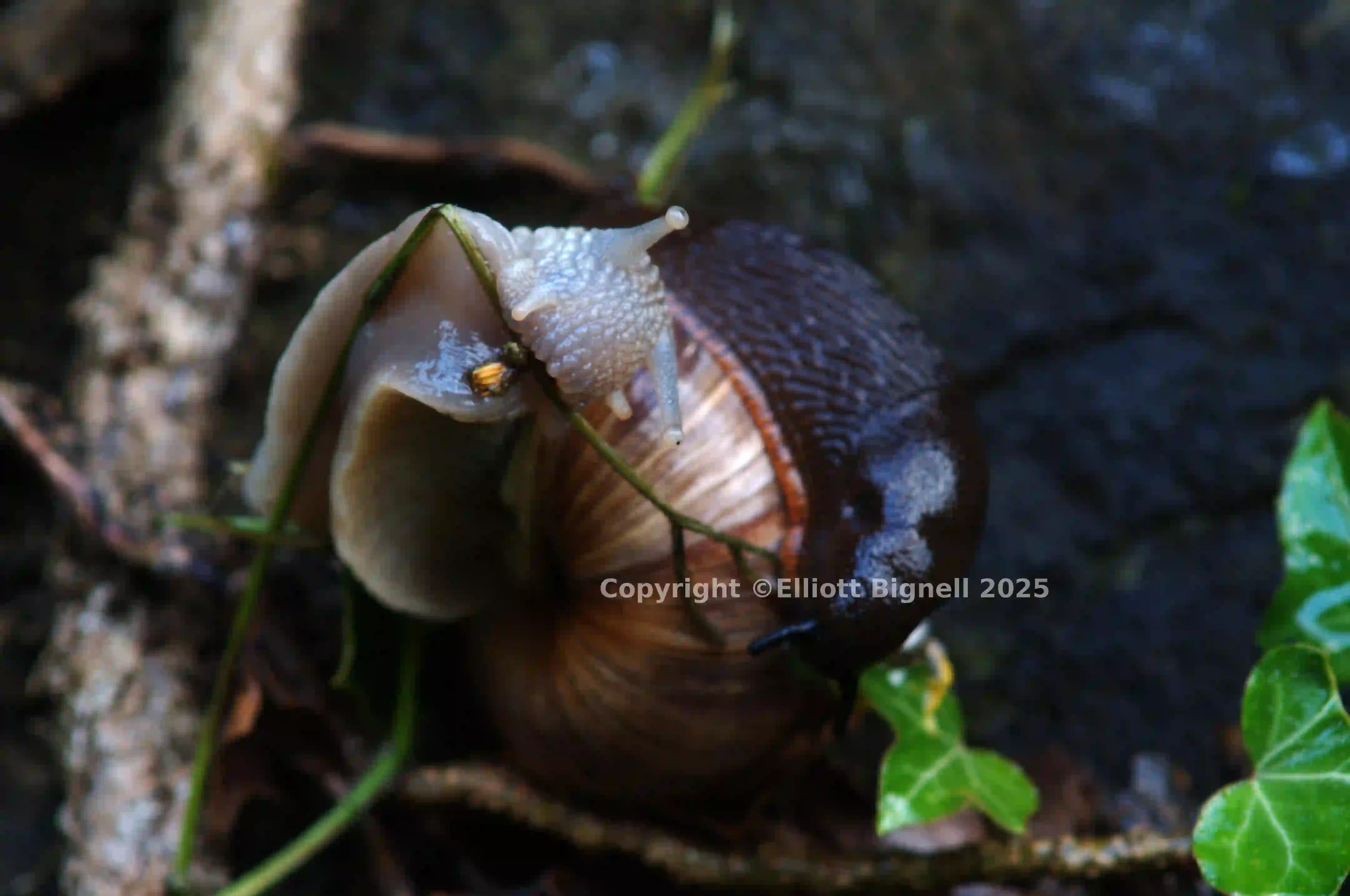 dsc_2886.jpg