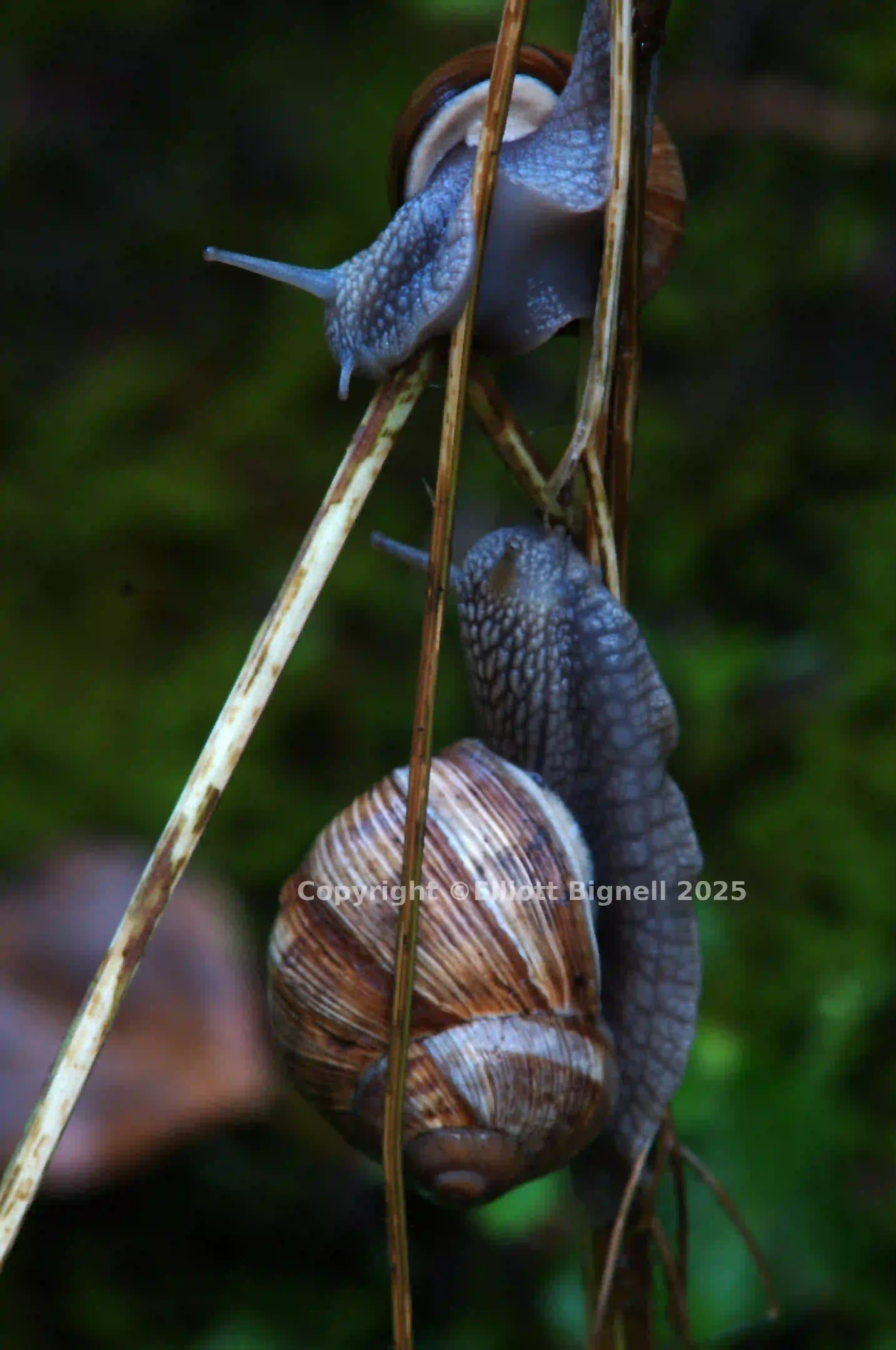 dsc_3297.jpg