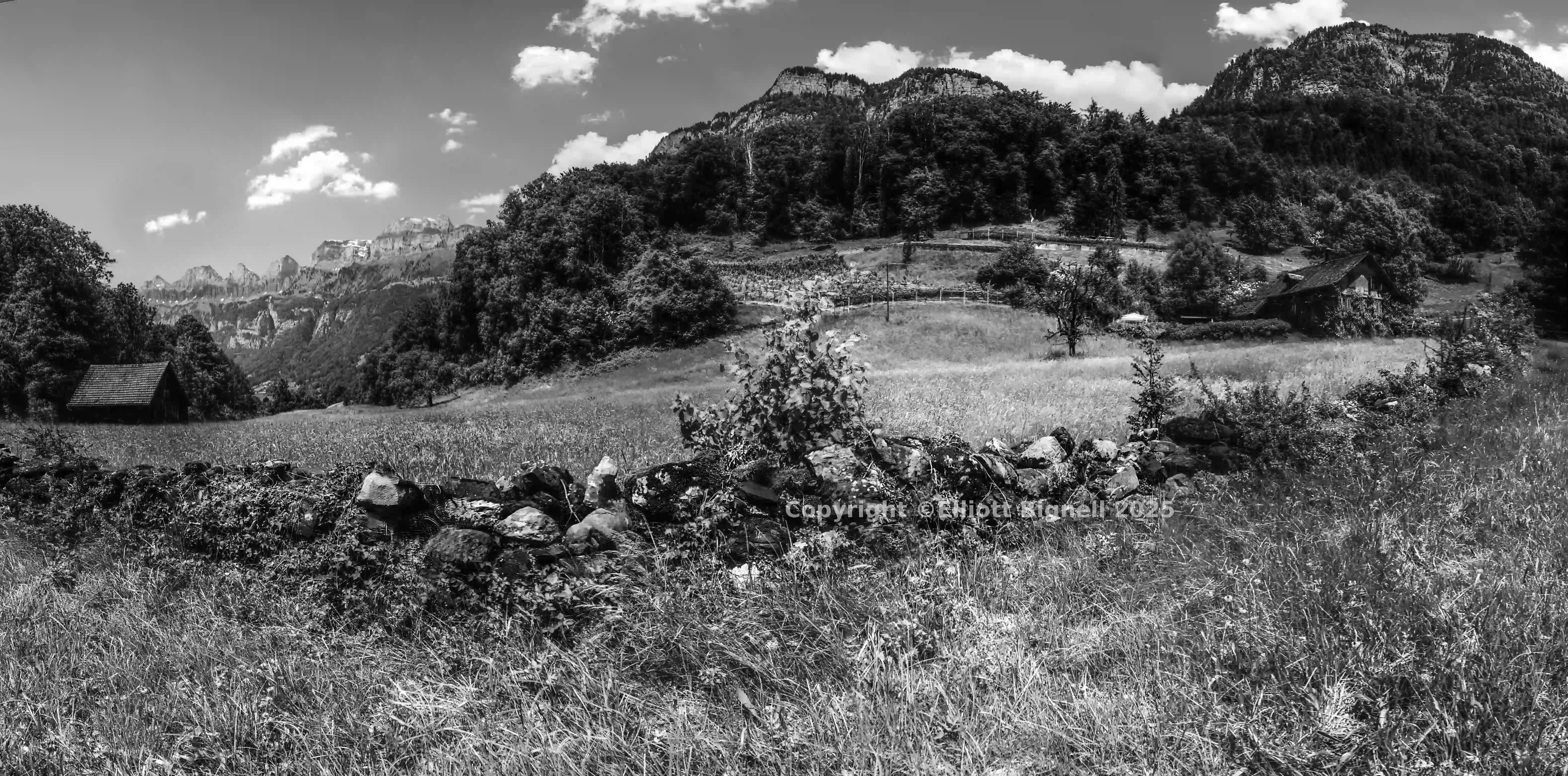 mantiuk_8570-mantiuk_8597bw.jpg