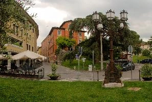 Cedro dell'Atlante in Brescia, Lombardy, brescia